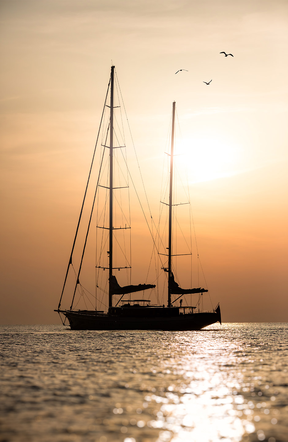 Ares Yachts Simena General Galeri9